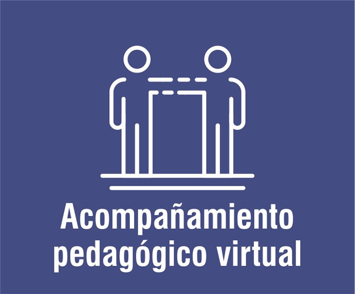 Acompañamiento pedagógico virtual
